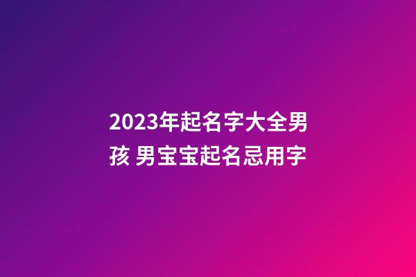 2023年起名字大全男孩 男宝宝起名忌用字
